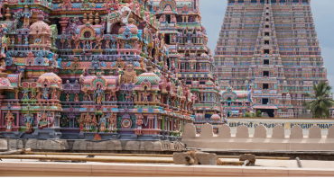  티루치라팔리 락 포트 사원과 스리 랑가나타 스와미 사원 탐방 tirchapali-blog